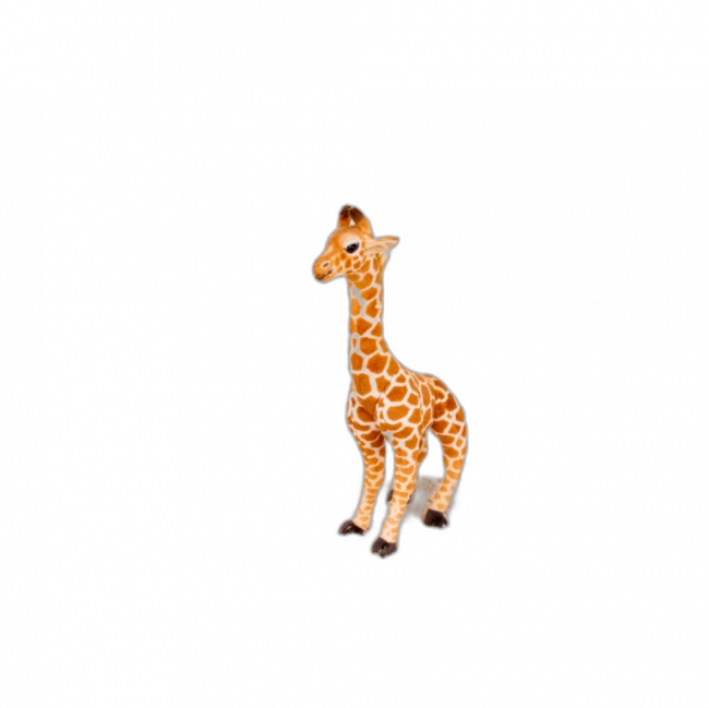 Girafa