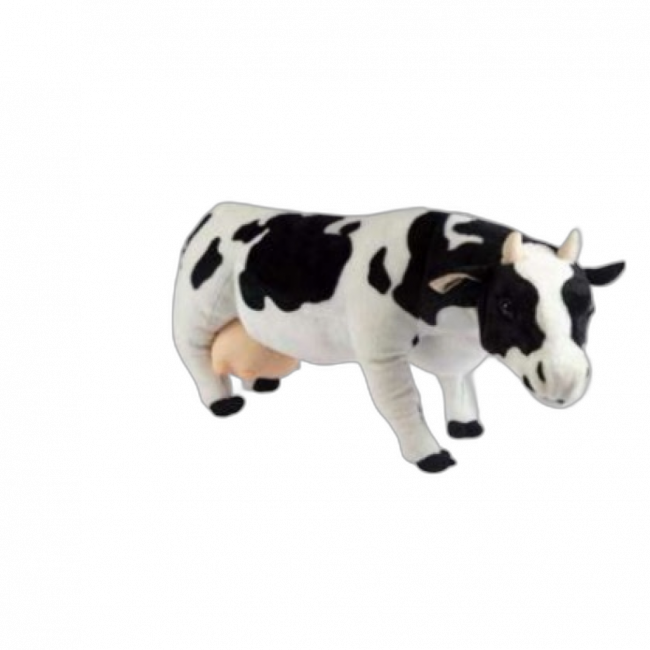 Vaca