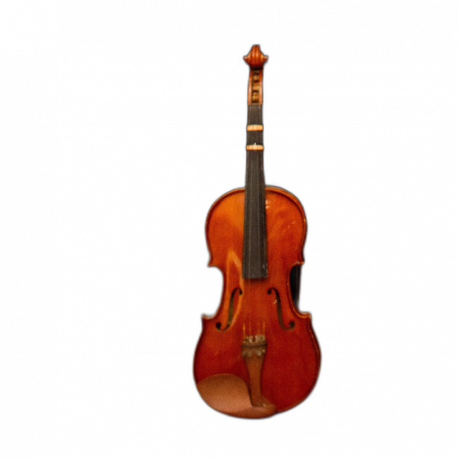 Violino