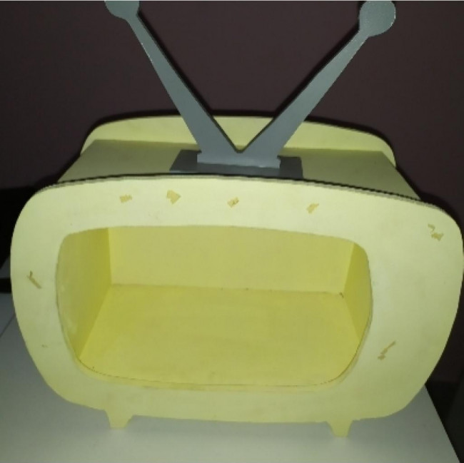Televisão