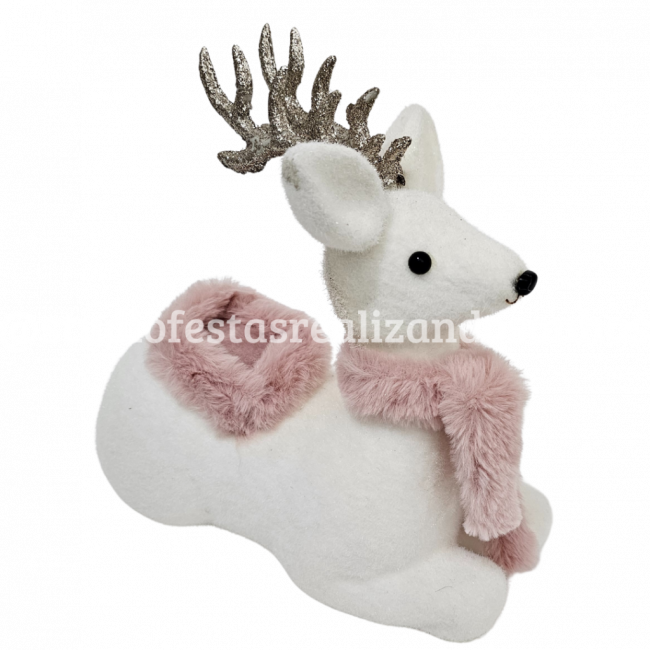 RENA NATAL