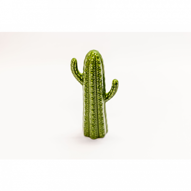 Cacto - M