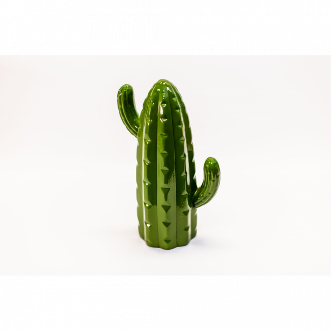 Cacto - G