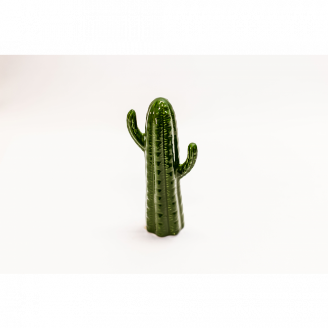 Cacto - P