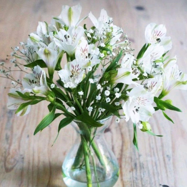 Flores