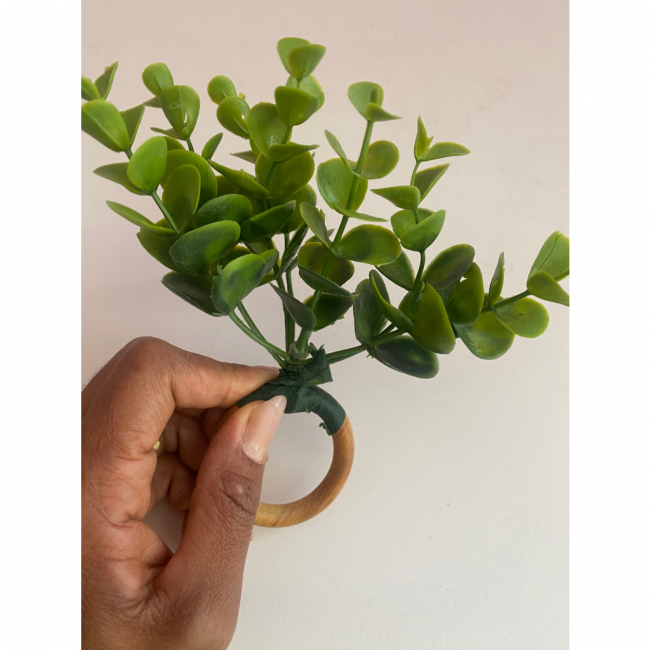 Pg verde