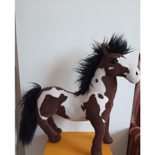 cavalo