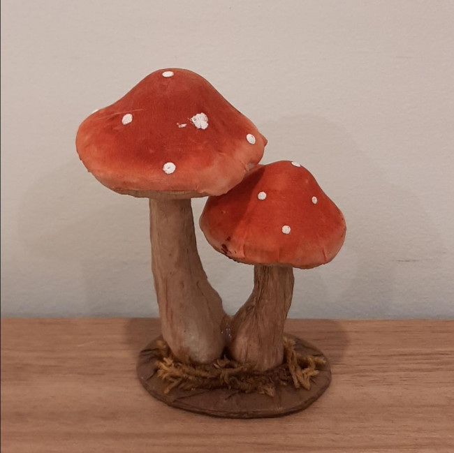 COGUMELOS