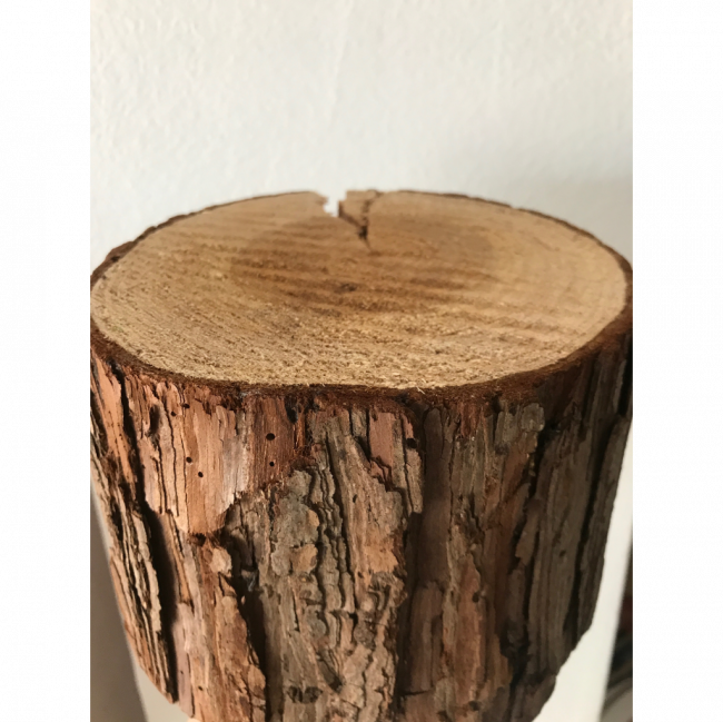 Tronco rustico P