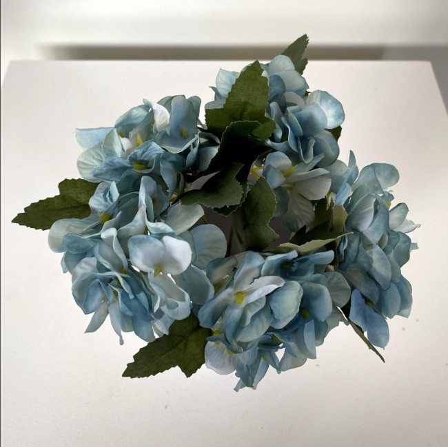 Hortênsia Azul