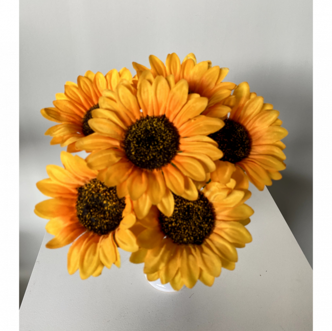Girasol