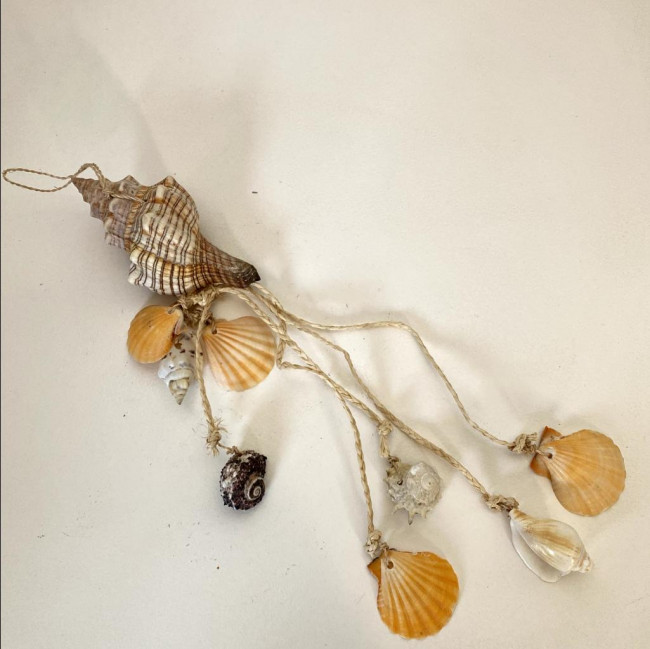 Conjunto de Conchas
