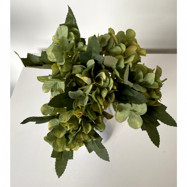 Hortênsia Verde
