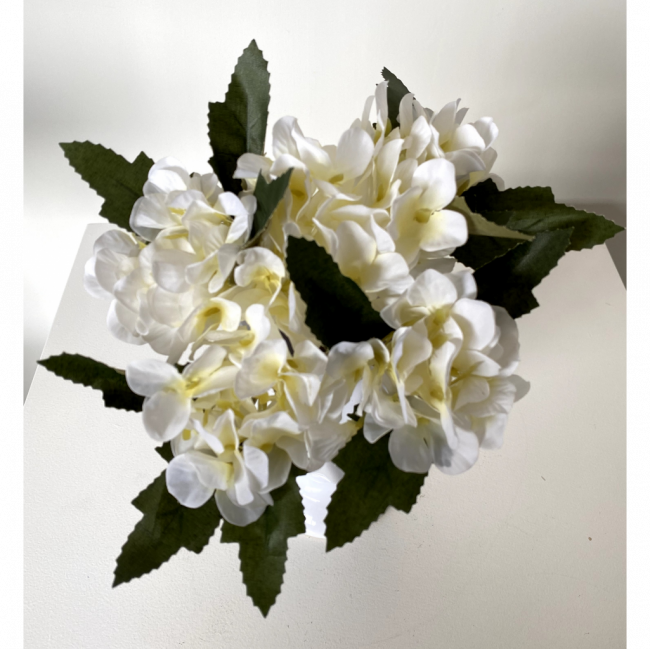 Hortênsia Creme