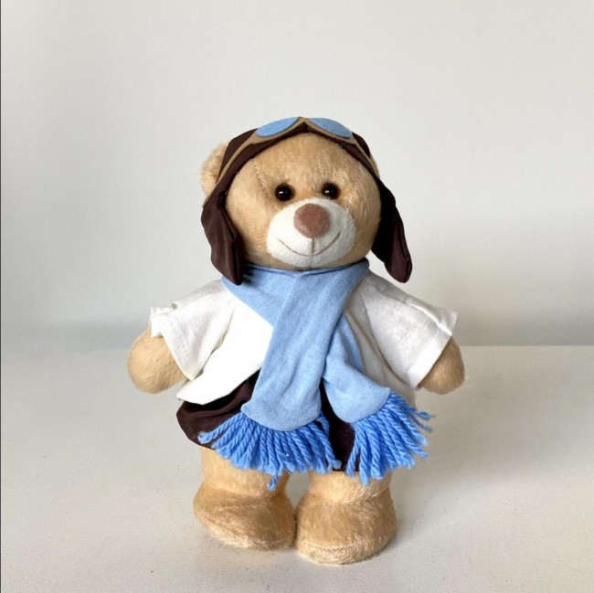 Urso Aviador
