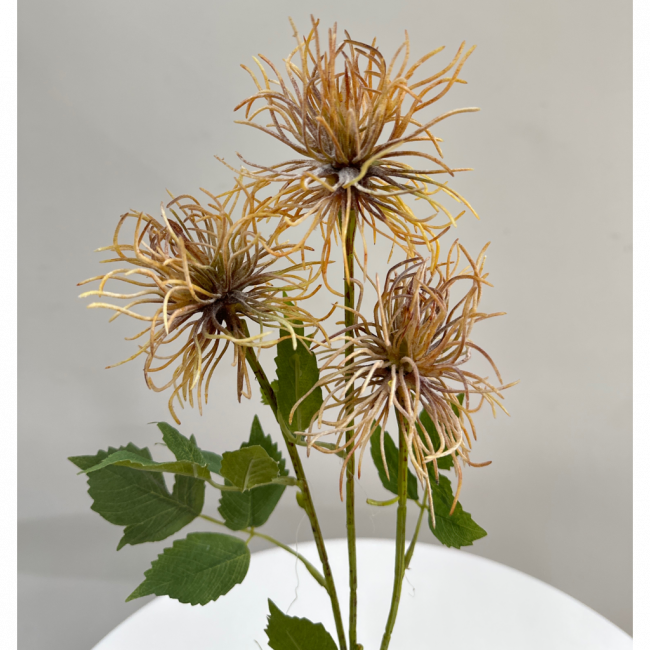 Flor Bianca