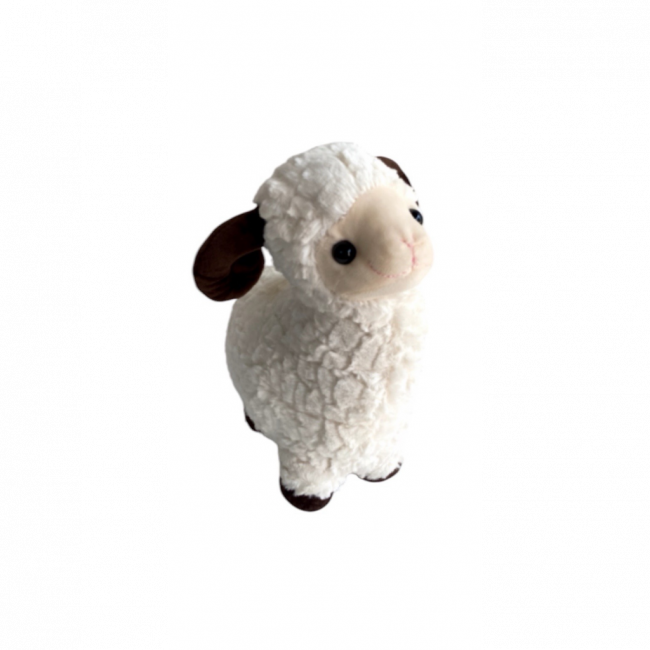 Ovelha