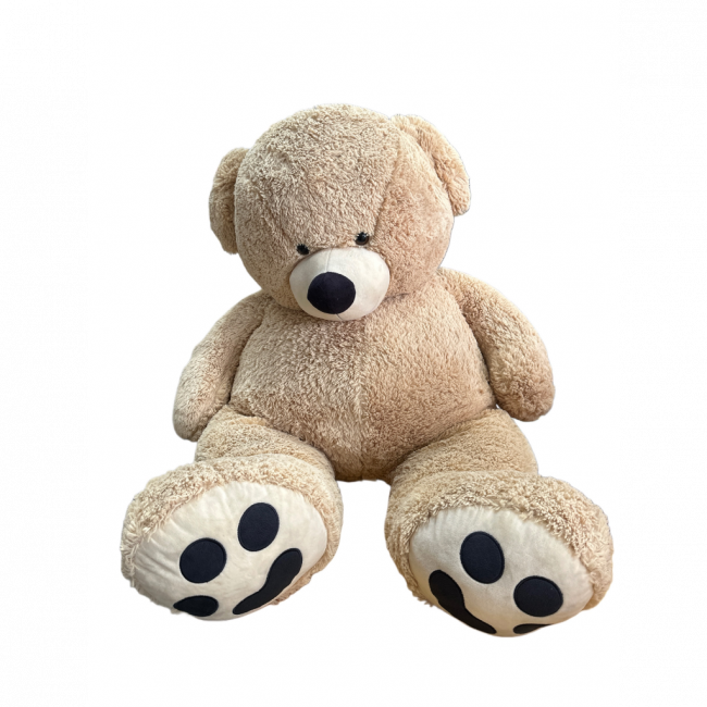 Urso Bege G