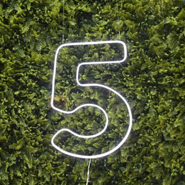 Led 5