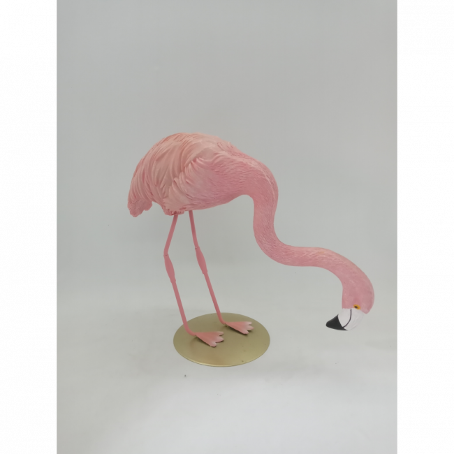 Flamingo B