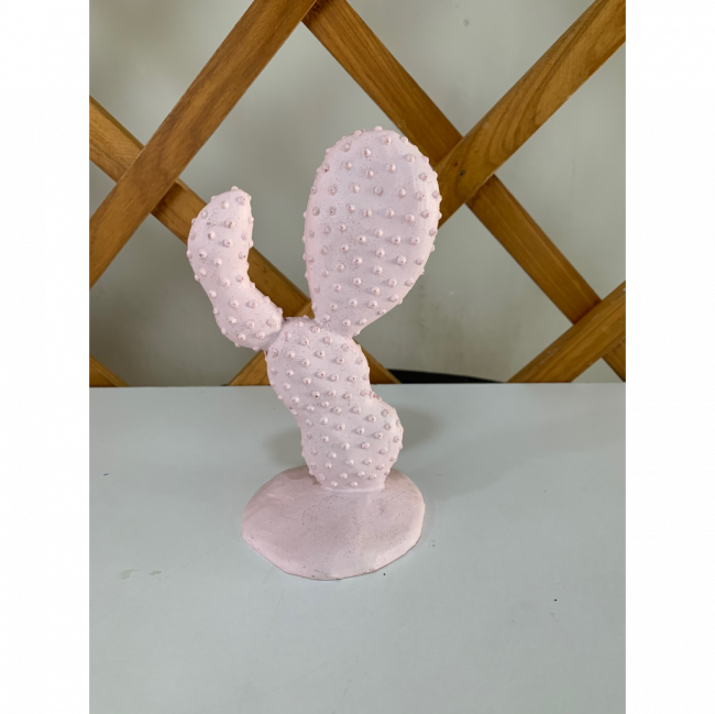 CACTO ROSA