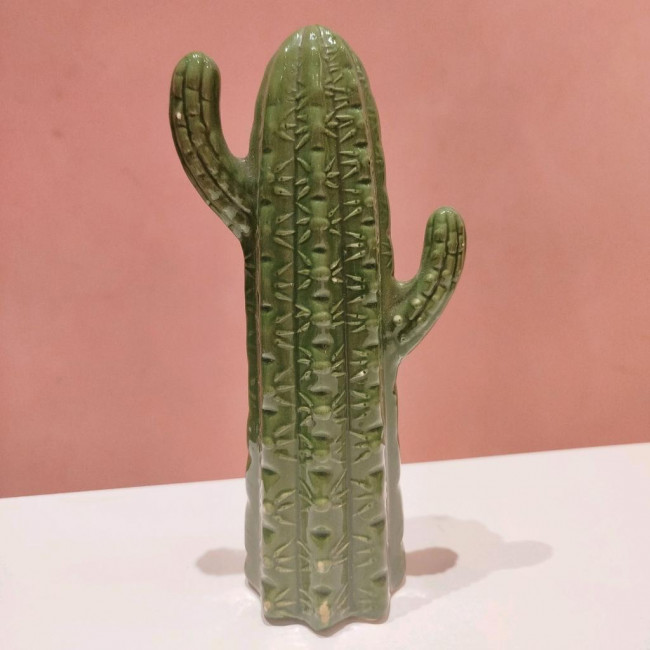 Cacto
