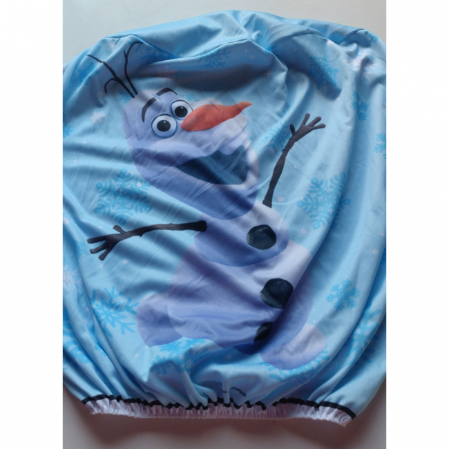 Capa Frozen