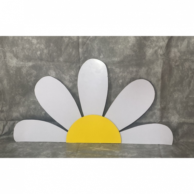 Display - Margarida PP