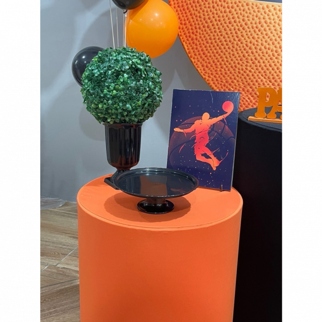 Basquetebol