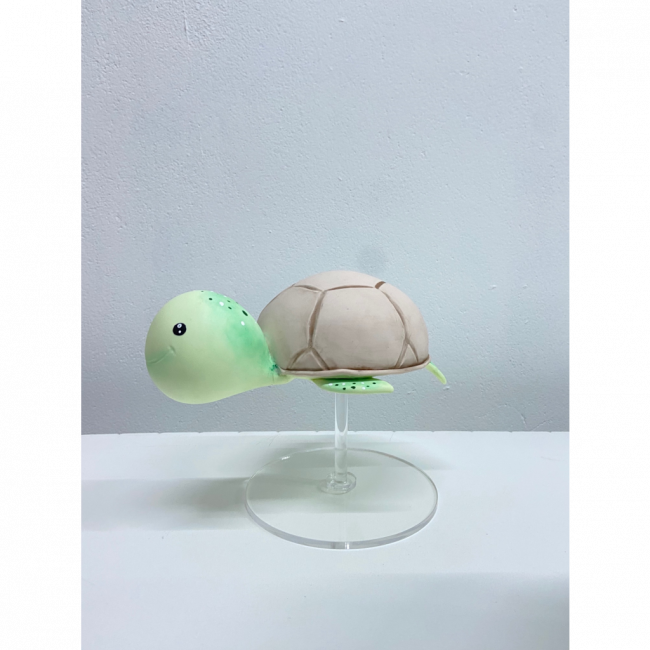Tartaruga