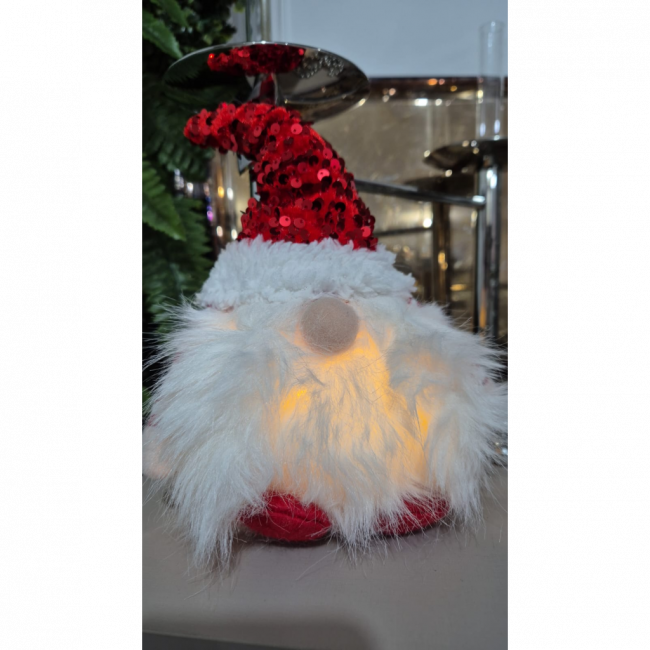 Gnomo Noel