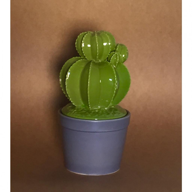 CACTO POTE CERÂMICA G (25A)