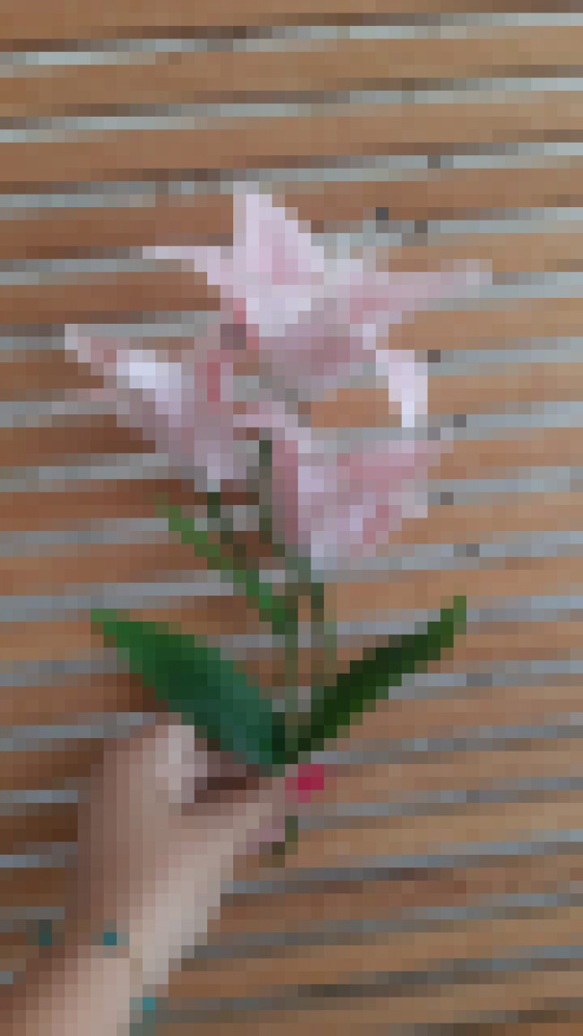 Bouquet de Lírio