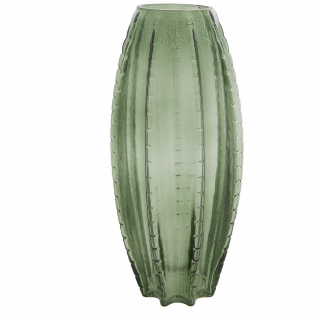 Vaso cacto
