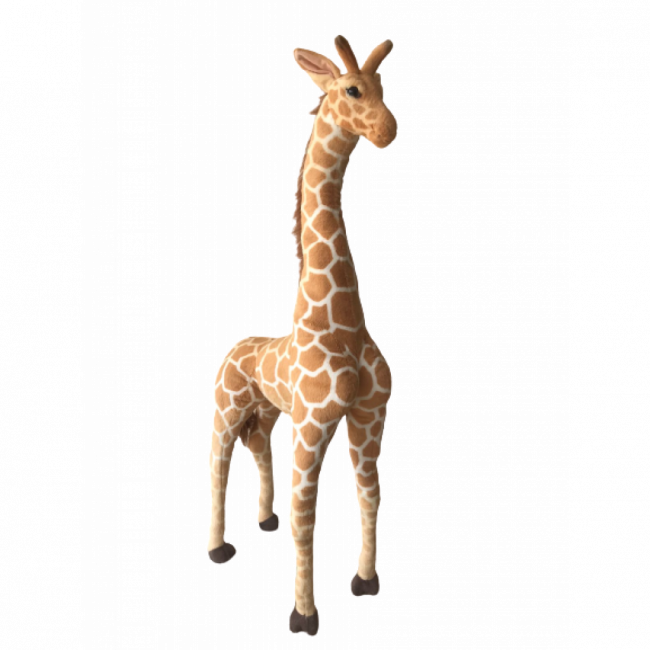 GIRAFA INÊS