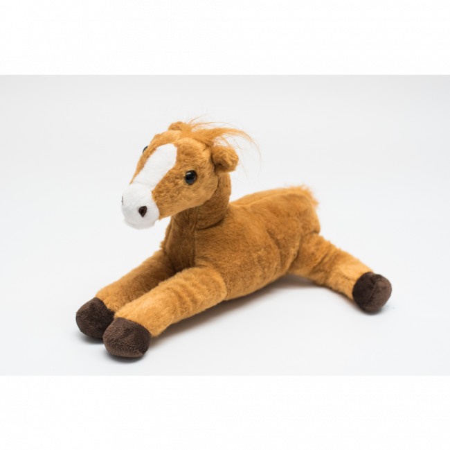 Cavalo