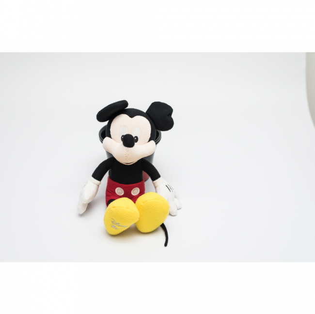 Mickey P