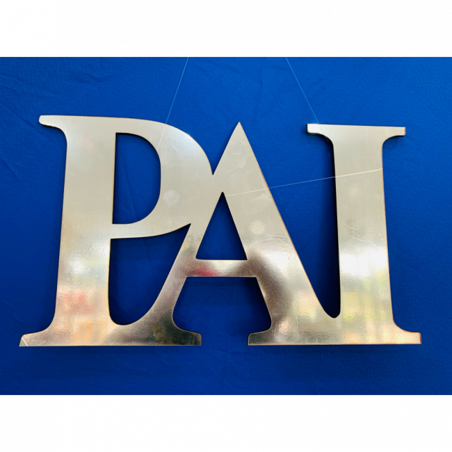 Placa PAI