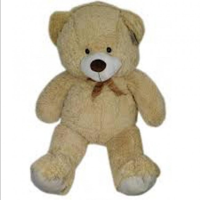 URSO BEGE G