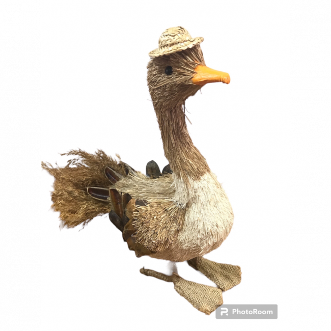 Pato