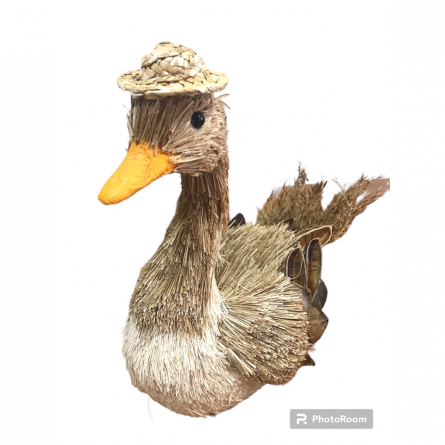 Pato