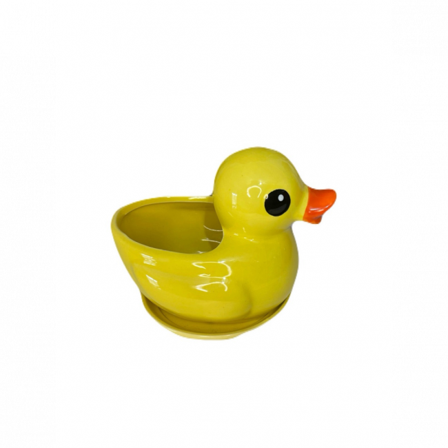 Pato