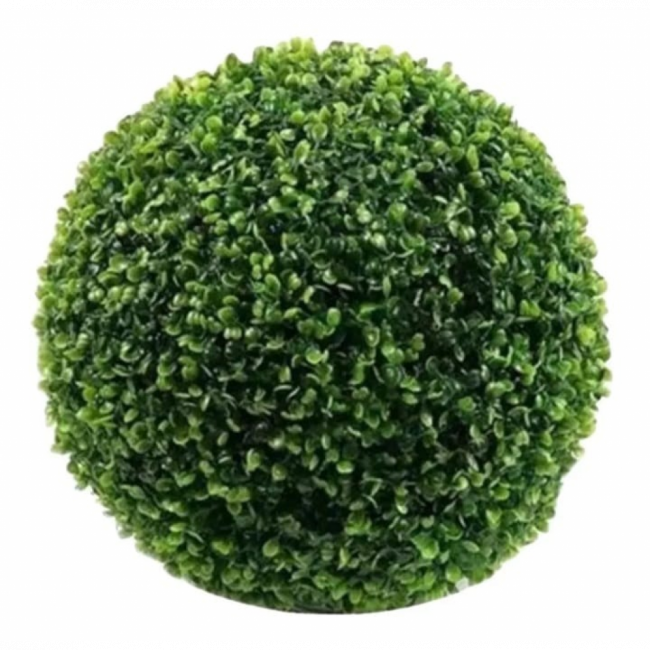 Buxinho ( Bolinha Verde )