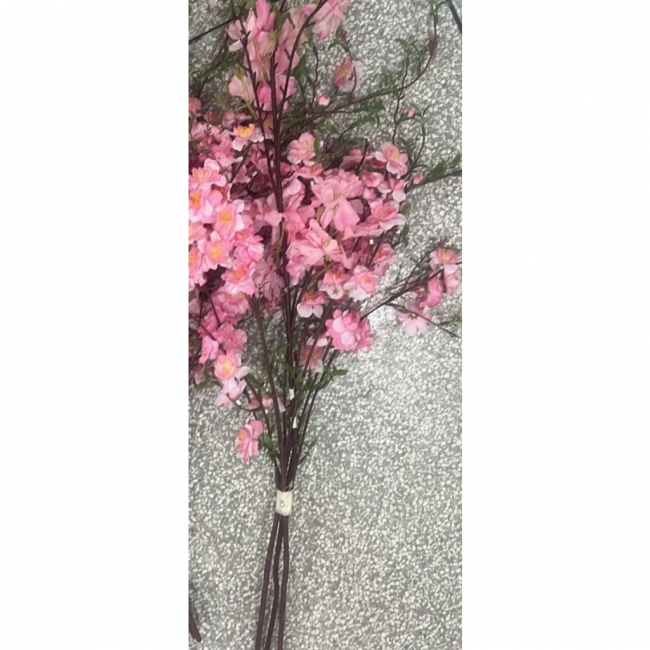 cerejeira