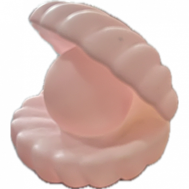 concha rosa
