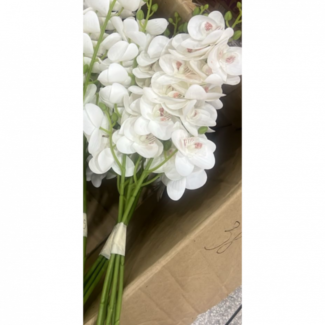 Flor branca