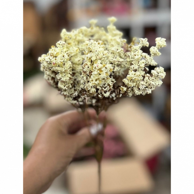 Flor branca