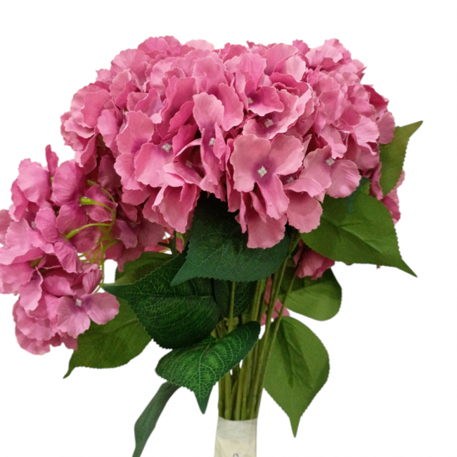 Flor rosa