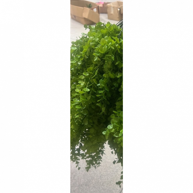 Flor verde