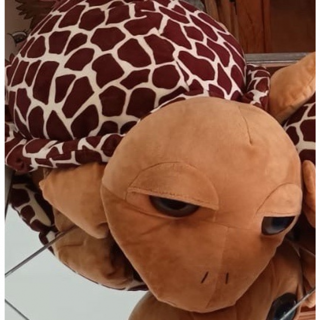 Tartaruga M